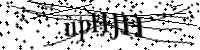 请键入下面的字母